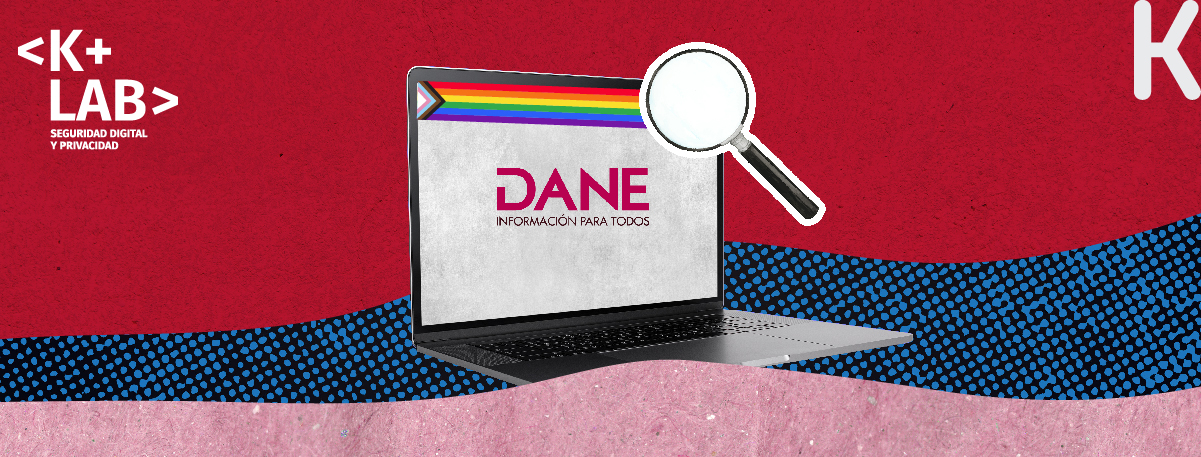 Análisis de privacidad del Registro Voluntario para la Visibilidad de la Diversidad Sexual y de Género del DANE