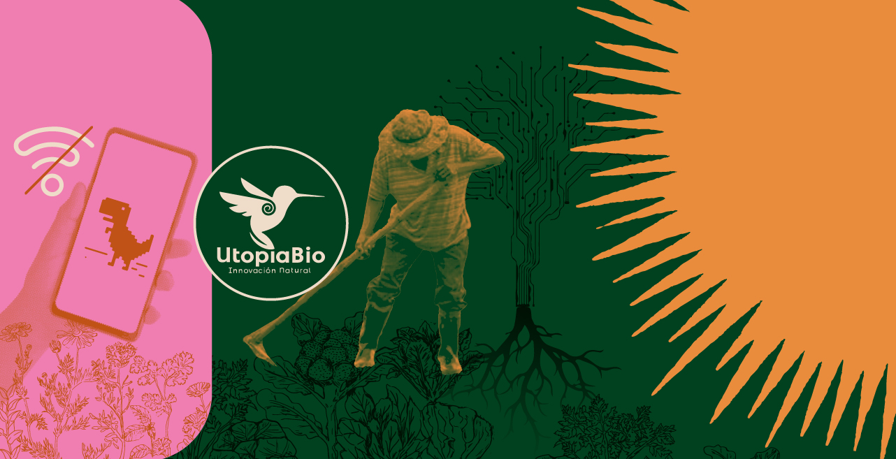 Redes locales en comunidades, una poderosa forma de resistencia