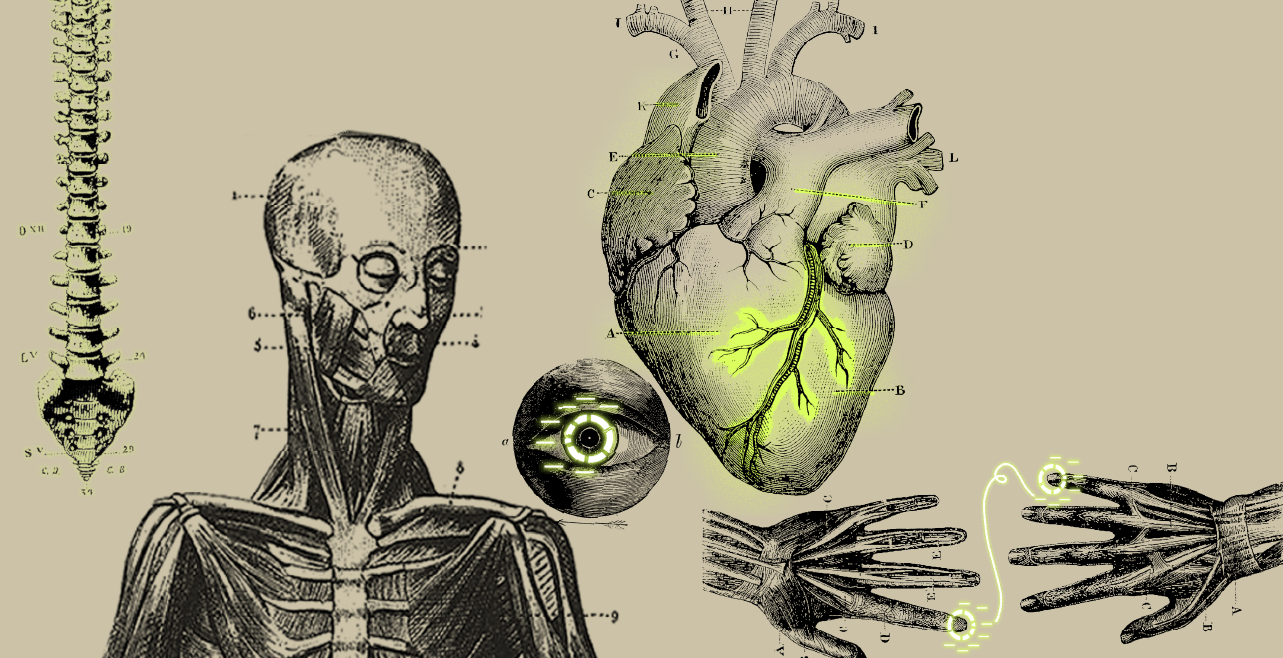 Investigar lo invisible: del iris a Worldcoin. Herramientas de investigación para transformar la curiosidad en acción. 